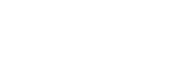 東郷流 ペット整体講座